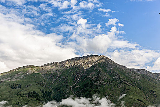 高原牧场