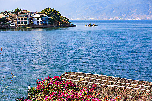 屋顶,红花,水面