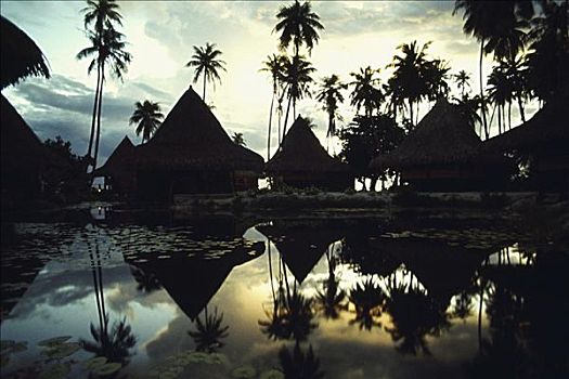反射,小屋,树,水中,法属玻利尼西亚