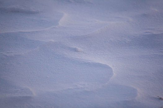 雪地上的线条