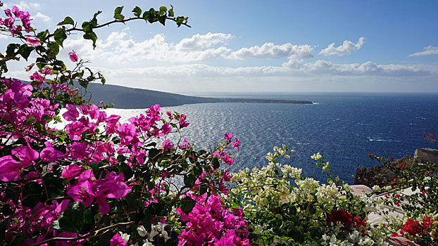 彩色,花,希腊,乡村,锡拉岛