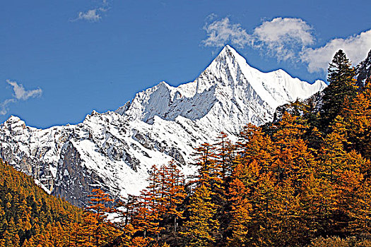 四川亚丁央迈勇雪山风光