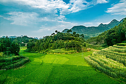 田园乡村