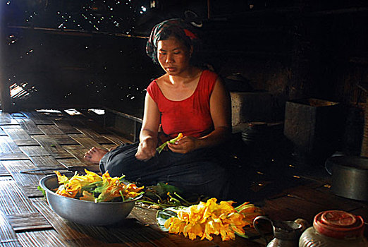 女人,一个,种族,社区,准备,蔬菜,烹调,家,孟加拉,七月,2008年