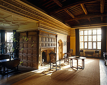 围绕,壁炉,画廊,15世纪