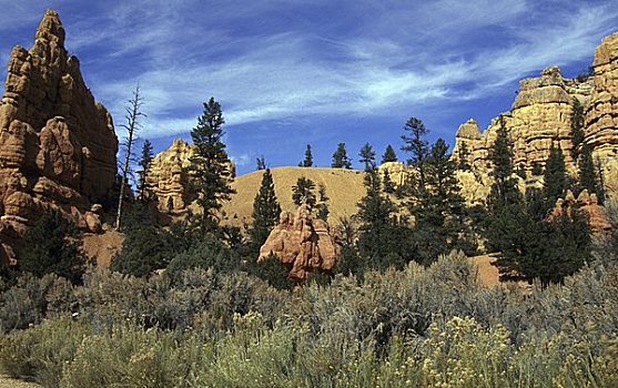 仰视,岩石构造,红色,峡谷,国家森林,犹他,美国
