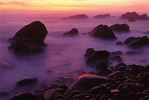 岩石海岸,日落,西海岸,国家公园,北开普