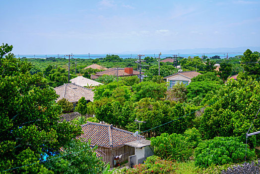 岛屿,冲绳,日本