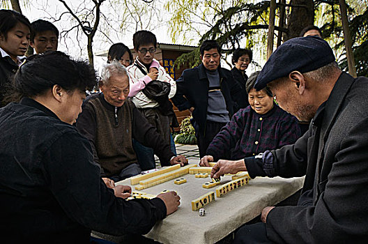 杭州,西湖,旅游,游人,老人,打麻将,柳树,湖边