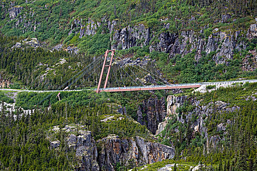 现代,吊桥,穿过,峡谷,南,白色,连接,斯加格韦,阿拉斯加,美国,不列颠哥伦比亚省,加拿大