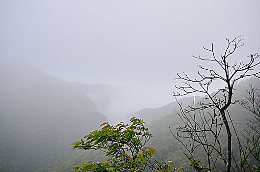 大明山