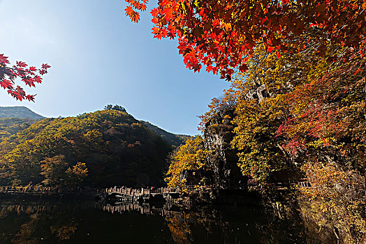 辽宁本溪老边沟风景区枫树林