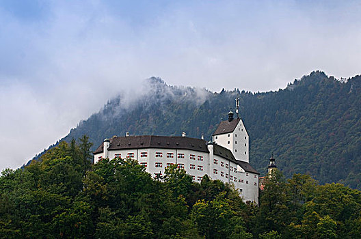 城堡,早晨,雾气,齐姆高,上巴伐利亚,巴伐利亚,德国,欧洲
