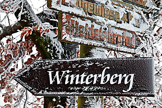雪,标识,藻厄兰,北莱茵威斯特伐利亚,德国,欧洲