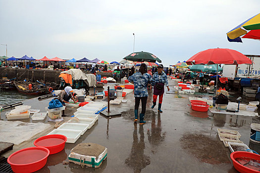 市民冒雨抢,鲜,渔码头变身,海上街市,真热闹