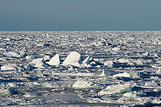 浮冰,垒积,斯匹次卑尔根岛,岛屿,斯瓦尔巴群岛,斯瓦尔巴特群岛,挪威,欧洲