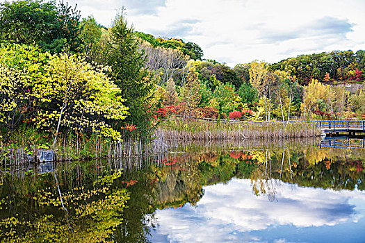 秋天,采石场,花园,常绿植物,砖,多伦多,安大略省,加拿大