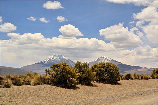 火山,国家公园,安第斯山,玻利维亚