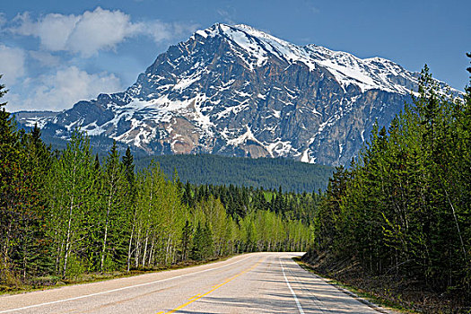 冰原大道,山,艾伯塔省,加拿大