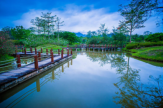 西双版纳中科院植物园