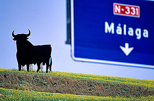 西班牙,安达卢西亚,公牛,土地