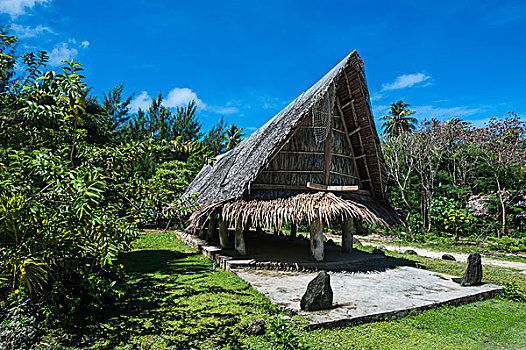 传统,茅草屋顶,小屋,岛屿,雅浦岛,密克罗尼西亚