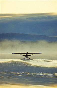 水上飞机,海上,晨雾,开端,阿拉斯加,北美