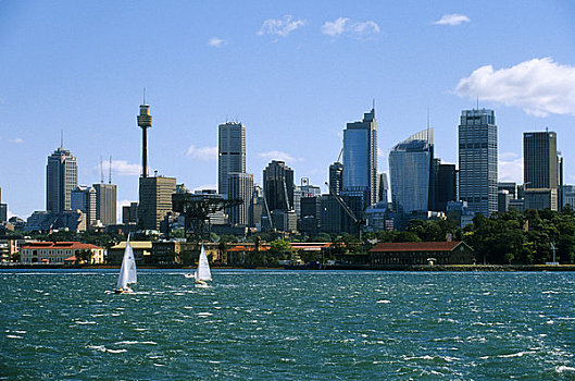 澳大利亚,悉尼,城市,天际线