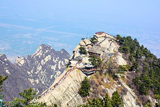 华山春日盛景