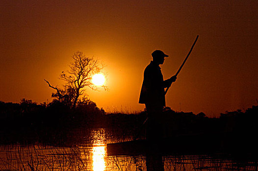 船夫,剪影,杆,移动,水,日落,博茨瓦纳,非洲,七月,2009年