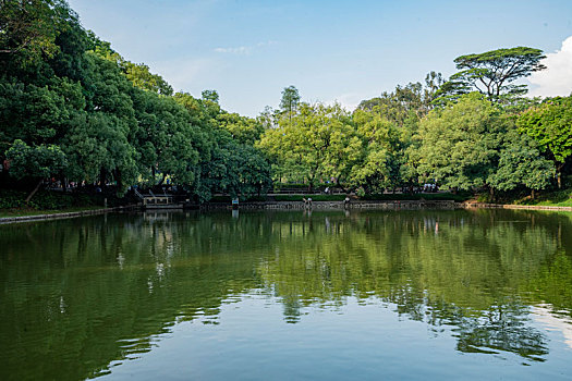 夏天广州天河公园绿树成荫湖水清澈倒影波光粼粼