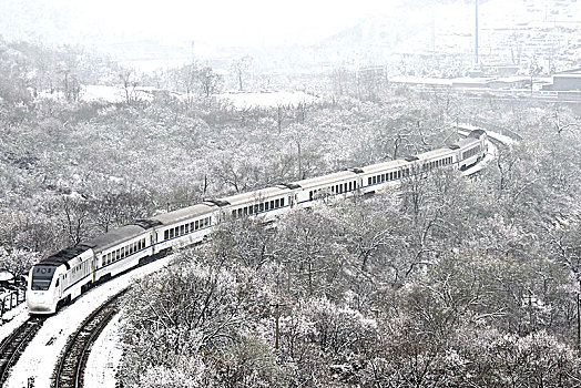 花海列车秒变雪国列车