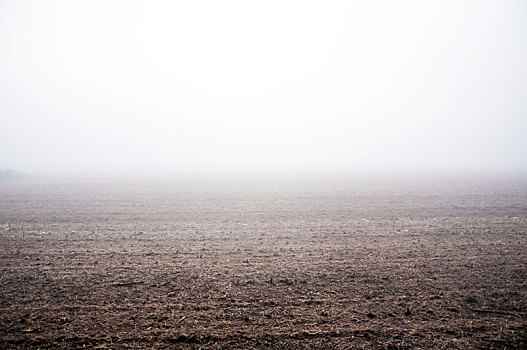清晨的田野和晨雾