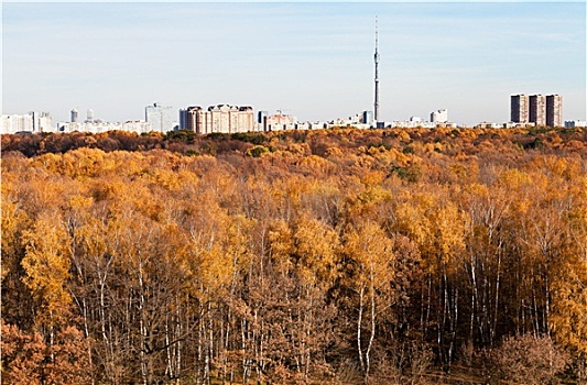 秋天,风景,电视塔,房子,黄色,树