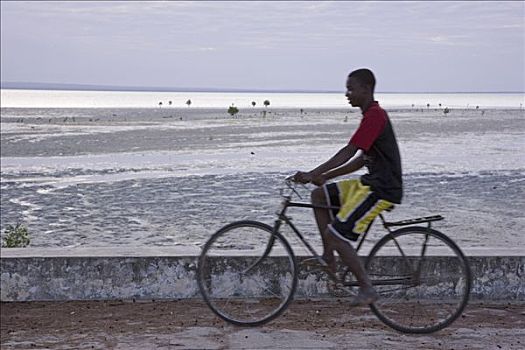 男青年,骑自行车,海堤,艾博岛,局部,群岛,莫桑比克