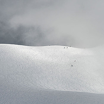 旅游,滑雪板,滑雪,积雪,山,惠斯勒,不列颠哥伦比亚省,加拿大