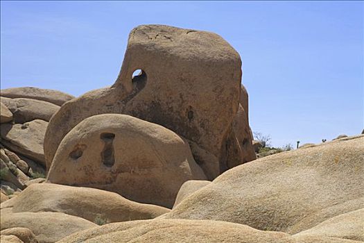 头骨,石头,地质,排列,约书亚树国家公园,加利福尼亚,美国