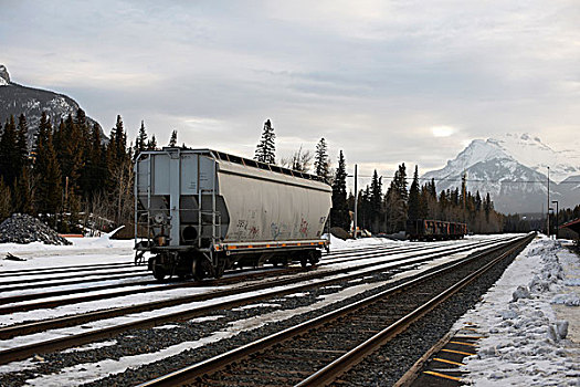 货运列车,车厢,轨道,班芙,加拿大