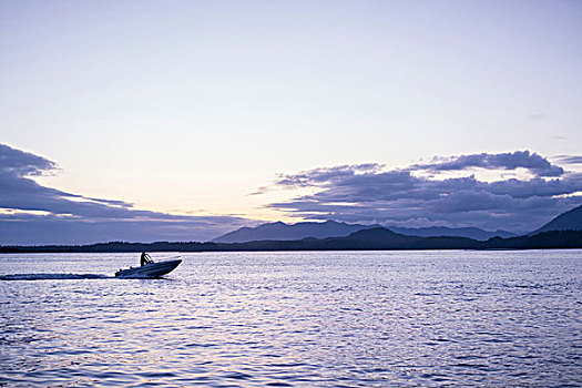 男人,快艇,水上,环太平洋国家公园,温哥华岛,加拿大