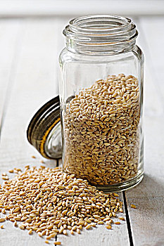 小麦作物,储藏罐