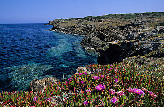 岩石,海岸,西班牙