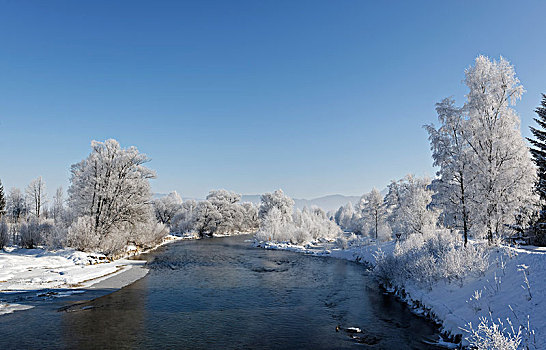 树,白霜,河,洛伊萨赫河,市区,上巴伐利亚,巴伐利亚,德国,欧洲