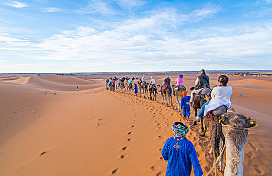 摩洛哥,撒哈拉沙漠,沙丘,区域,旅游,骑,骆驼,顶峰,沙子