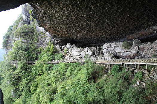 重庆南川,雨中金佛山云端栈道,与云雾起舞如仙如境