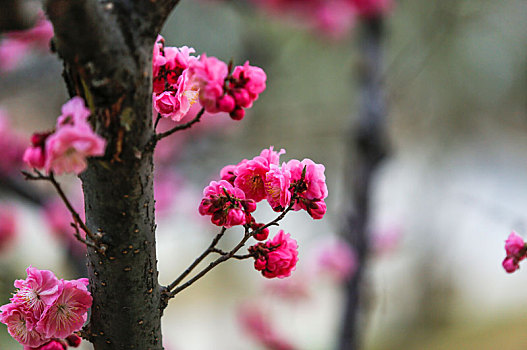 四月的军营,女兵的,花花世界