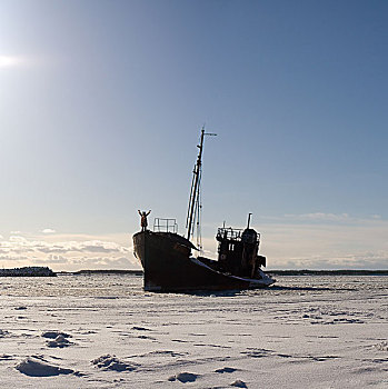 孤单,船,雪,海洋,一个,男人,衣服,熊