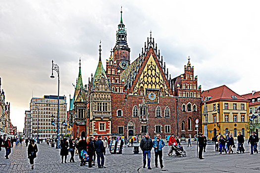 波兰,城镇,市场,市政厅,弗罗茨瓦夫