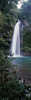 瀑布,岛屿,斐济