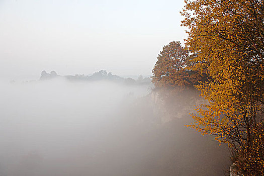 秋天早晨雾蒙蒙的图片图片