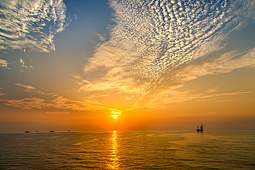 胜利油田海上油区风光